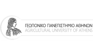 University Logo