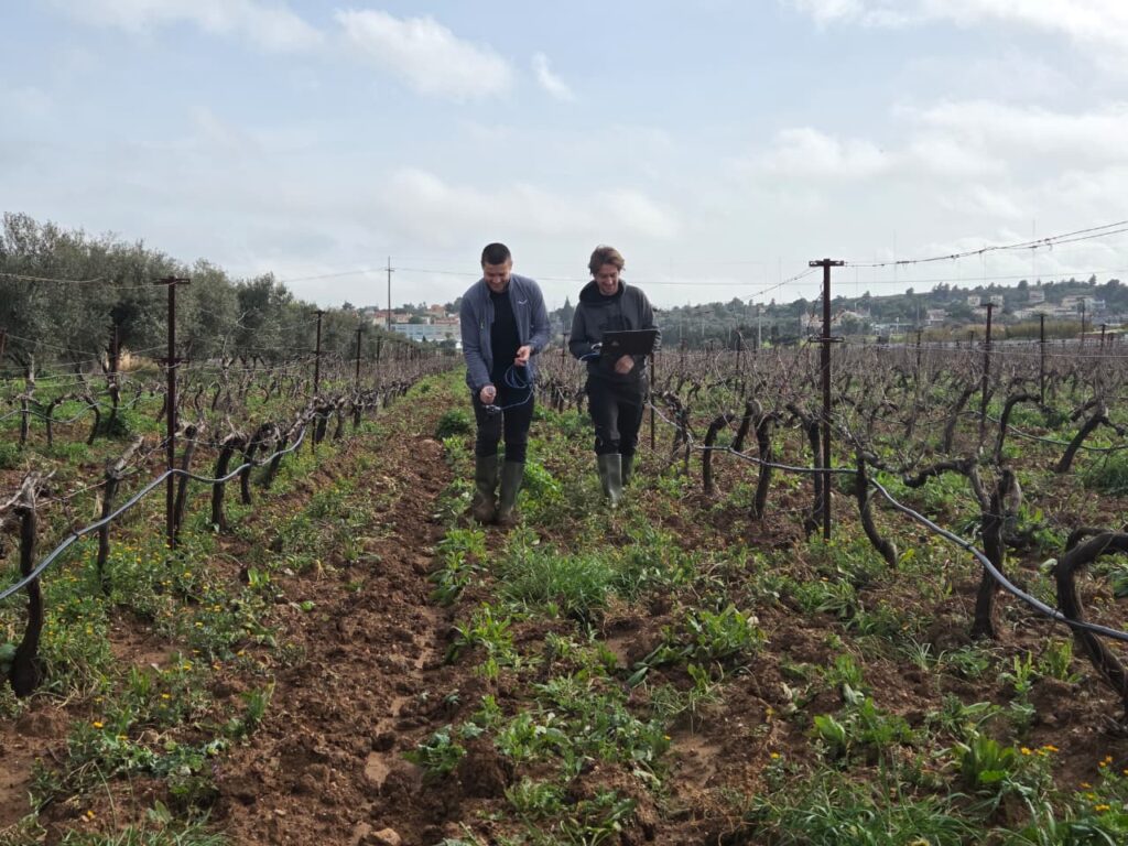 Two technicians testing the field in a vineyard