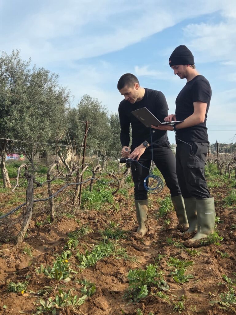 Two technicians working on a vineyard with robotics