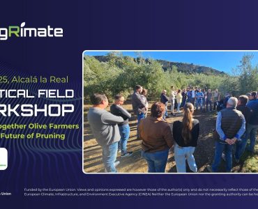 Field Workshop in Jaén