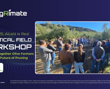 Field Workshop in Jaén