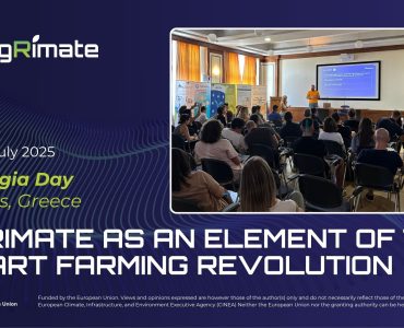 Image Synergia Day