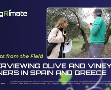 Inrerviews in Spain and Greece Blogpost