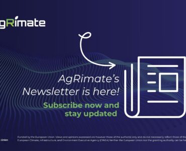 Newsletter for Website