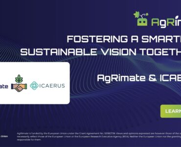 Social Media Template