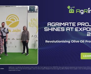 Social Media Template (1)