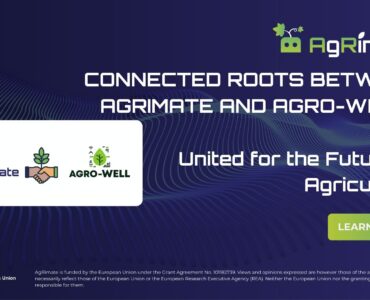 Social Media Template