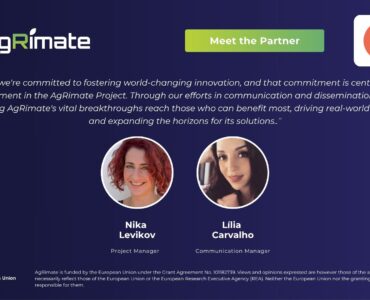 Social Media Template