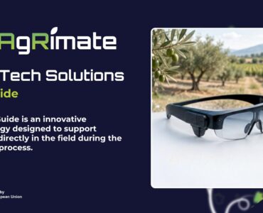 Tech solutions - ar guide