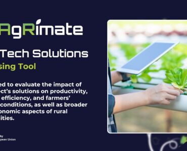 Tech solutions - assessing tool