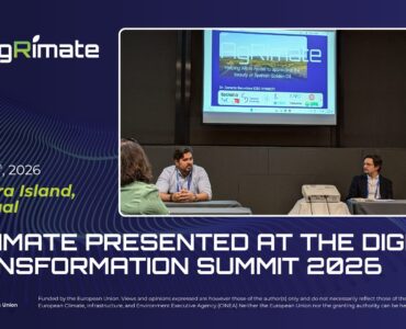 dt summit report